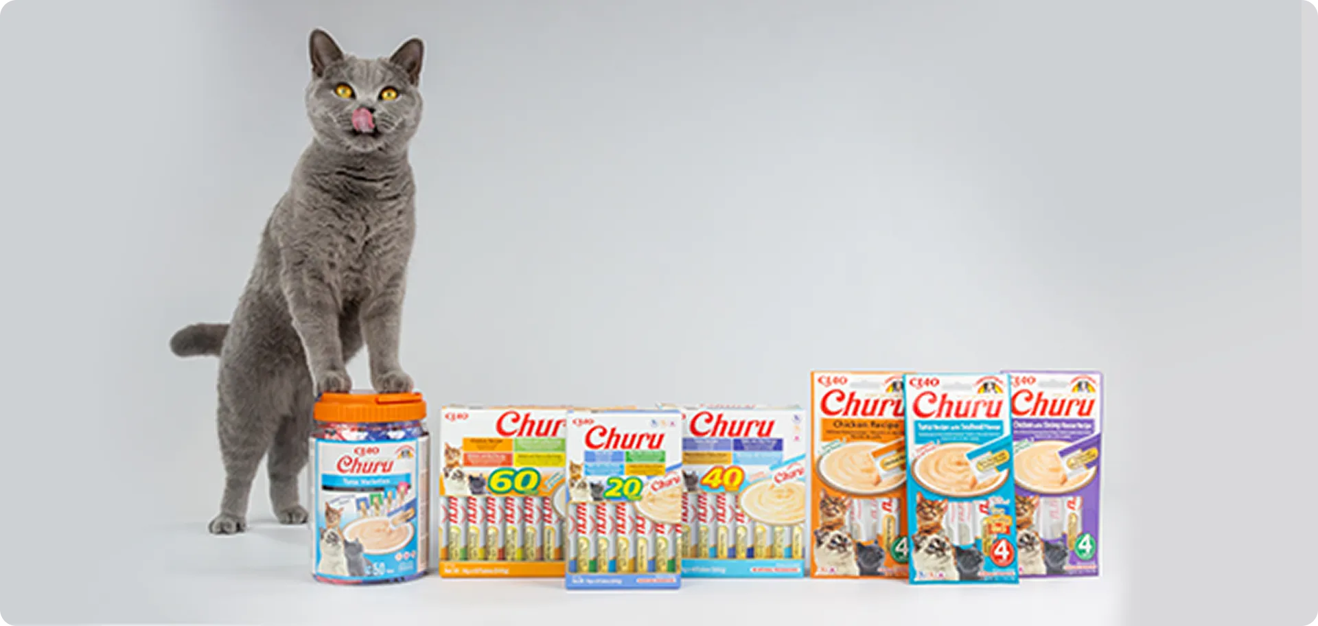 Productos para gatos