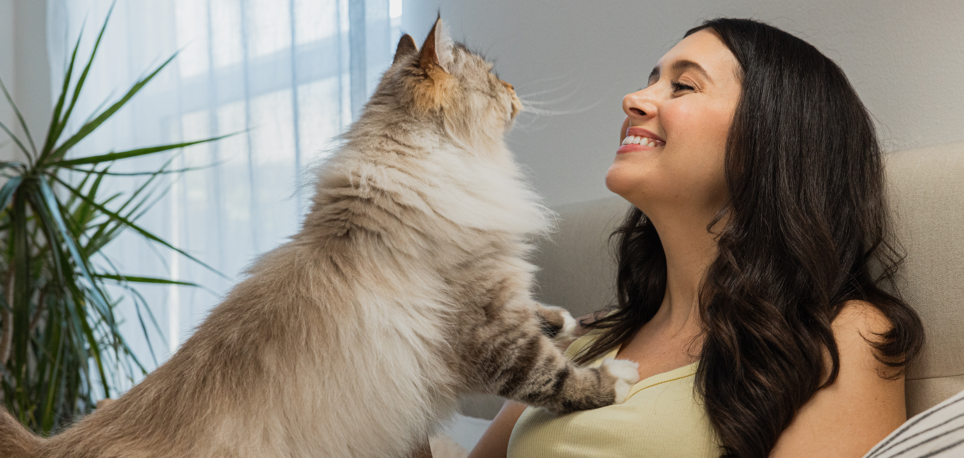 Churu Luxury para gatos