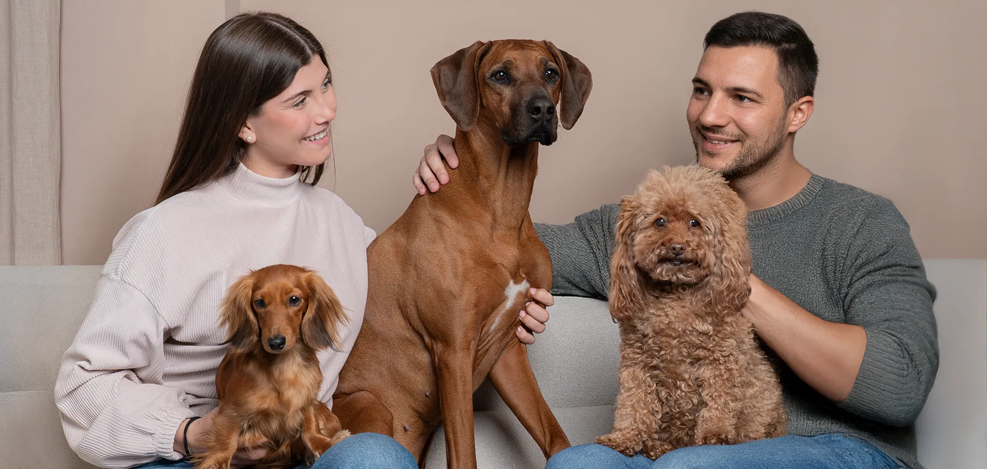Productos para perros