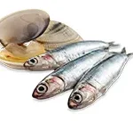 Pescado y almeja