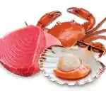 Atún con marisco