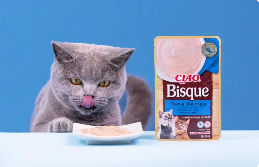 Cat licking its nose, sitting next to the plate and packaging with food.
