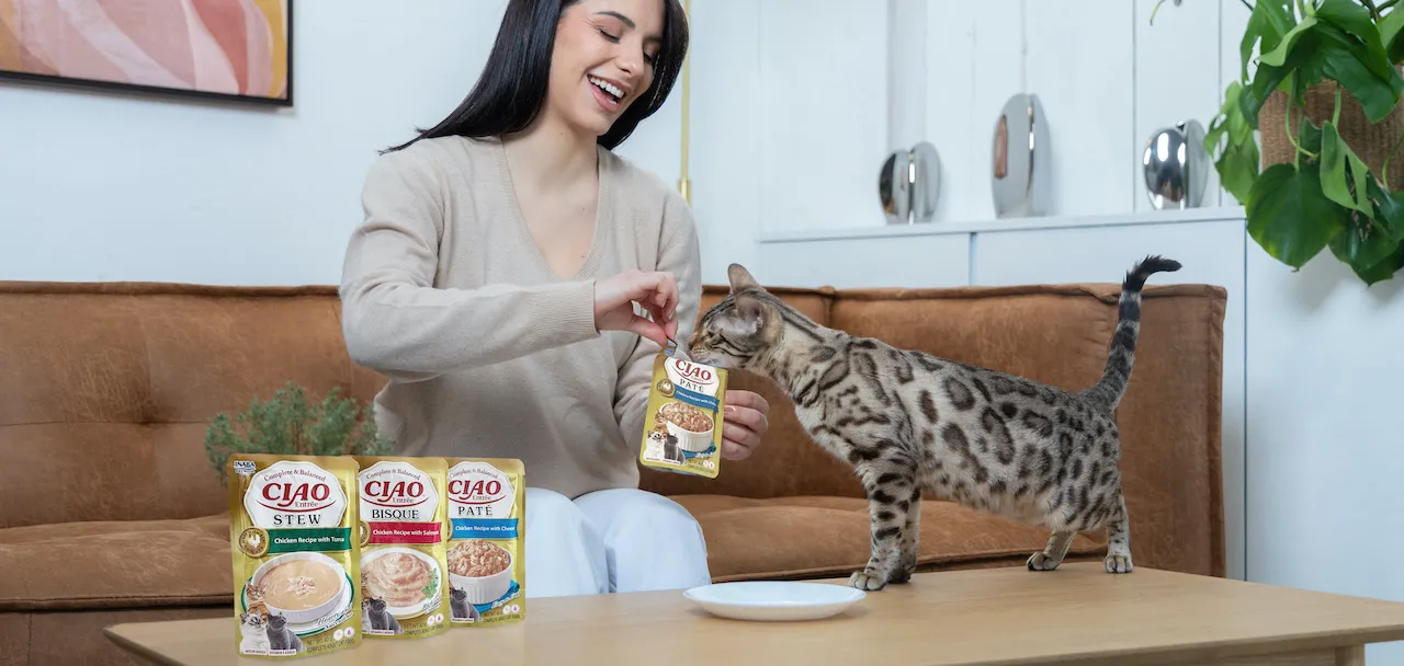 Comida húmeda completa y equilibrada para gatos